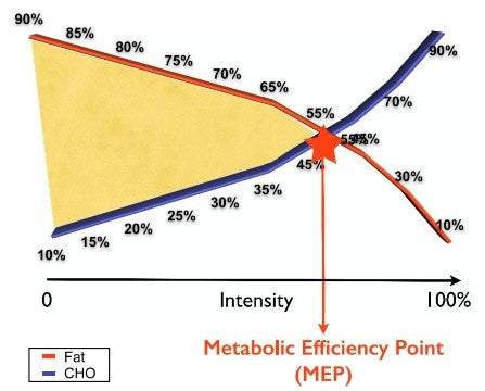 Metabolic Efficiency: Using Fat As Energy